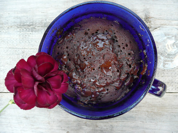 Dark Chocolate Red Wine Mug Cake Sumptuous Spoonfuls