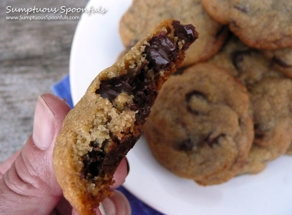 Blue Ribbon Chewy Chocolate Cookies — ButterYum — a tasty little