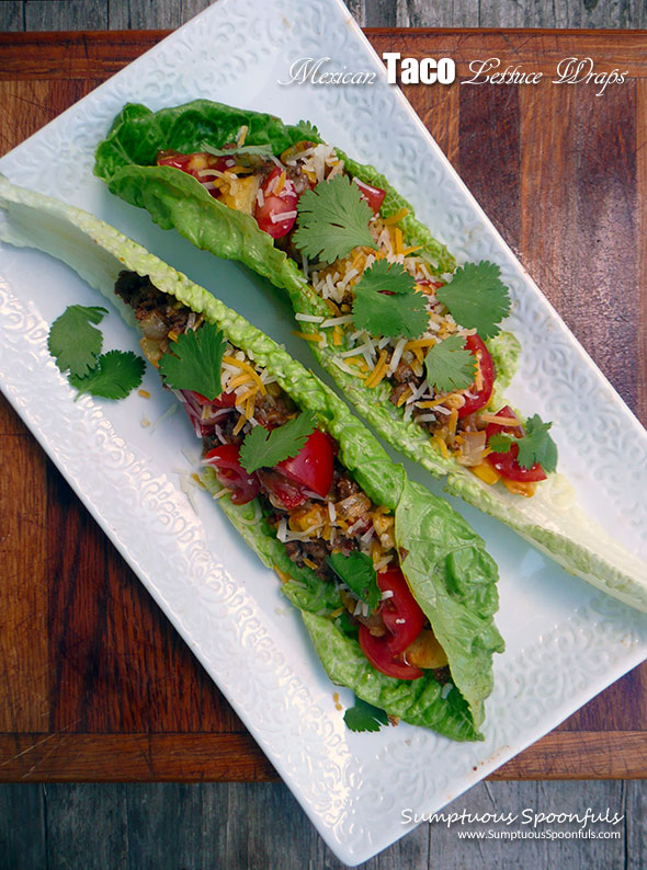 Mexican Taco Lettuce Wraps Sumptuous Spoonfuls 5211