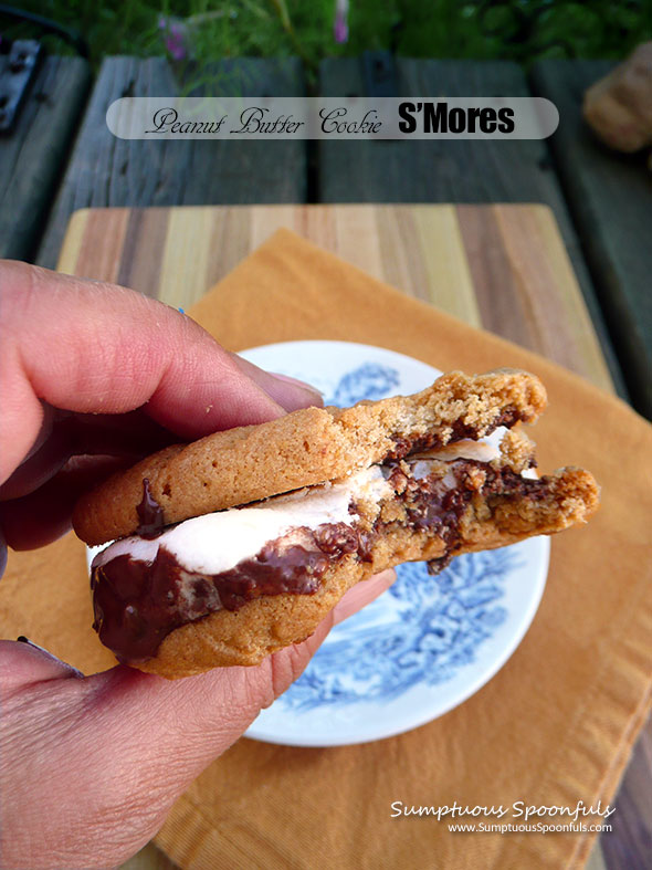 Peanut Butter Cookie S'Mores | Sumptuous Spoonfuls