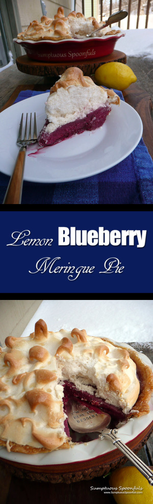 Lemon Blueberry Meringue Pie Sumptuous Spoonfuls 6302