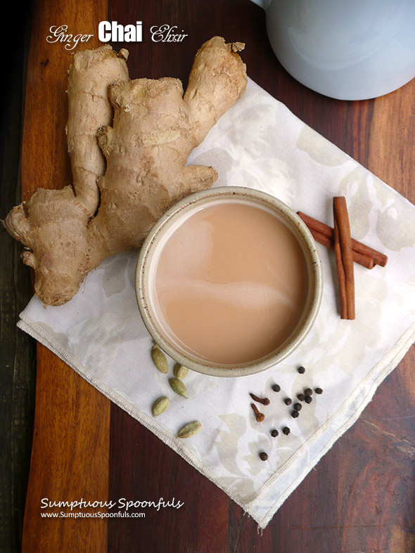 Ginger Chai Elixir  Sumptuous Spoonfuls