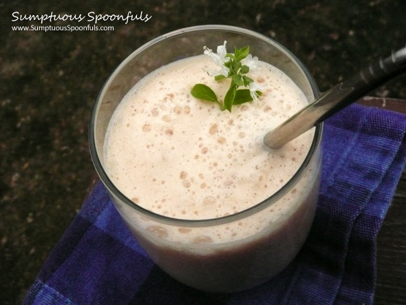 Cantaloupe Maple Mango Smoothie | Sumptuous Spoonfuls