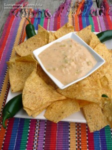 Queso Blanco {Mexican White Cheese Dip} ~ Sumptuous Spoonfuls #dip #recipe