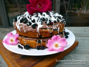 Mulberry Cake with Chocolate Mascarpone & a White Chocolate Drizzle ~ Sumptuous Spoonfuls #cake #recipe