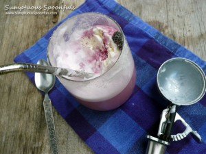 Homemade Purple Cow Ice Cream Float ~ Sumptuous Spoonfuls #drink #recipe