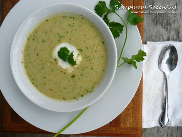 Tomatillo soup deals