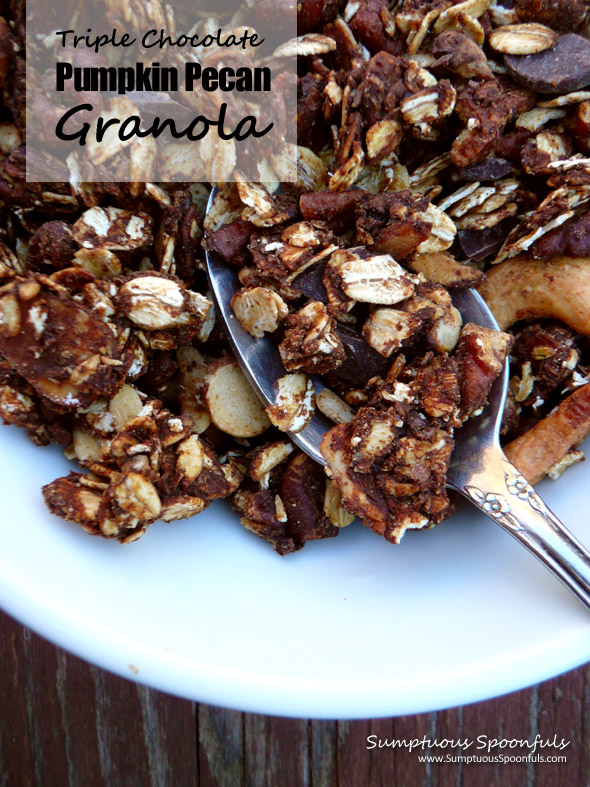 Triple Chocolate Pumpkin Pecan Granola | Sumptuous Spoonfuls