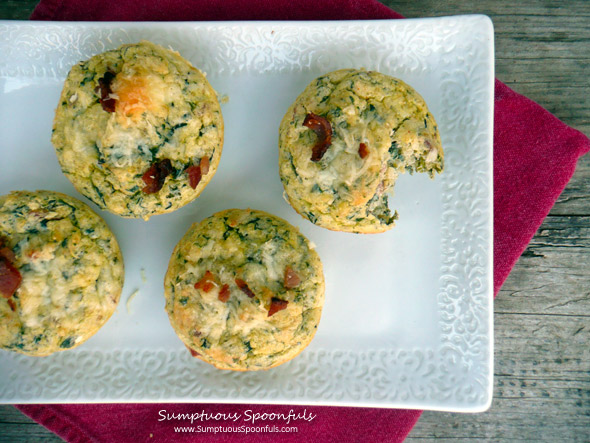 https://www.sumptuousspoonfuls.com/wp-content/uploads/2014/05/Bacon-Spinach-Quinoa-Souffle-Cups-2.jpg