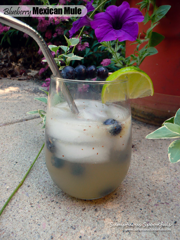 Blueberry-Mexican-Mule-2 | Sumptuous Spoonfuls