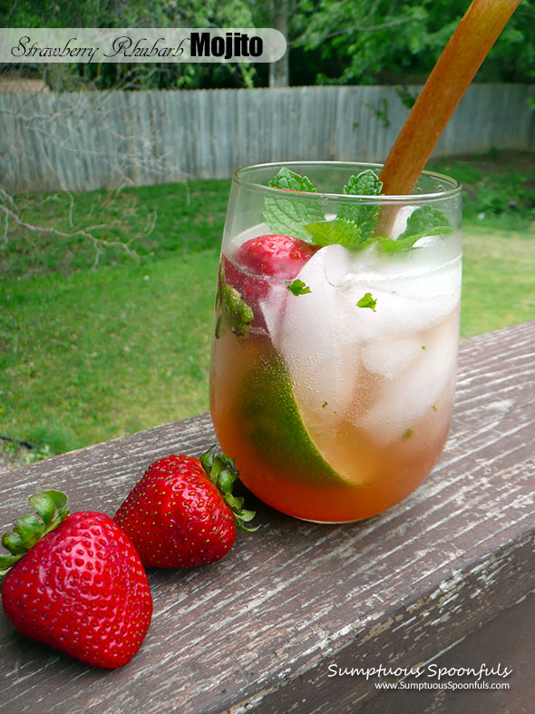 Strawberry Rhubarb Mojito ~ Sumptuous Spoonfuls #mint #rum #cocktail # ...