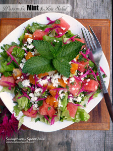 Watermelon, Mint & Feta Salad with Chicken, Bee Balm & a Honey Lime Margarita Vinaigrette ~ Sumptuous Spoonfuls #refreshing #summer #salad #recipe