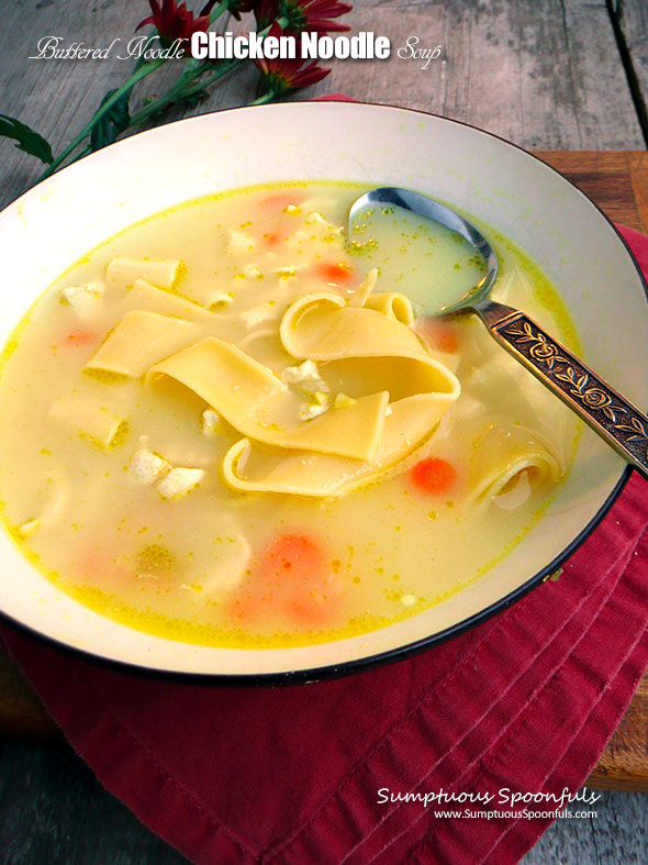 https://www.sumptuousspoonfuls.com/wp-content/uploads/2015/09/Buttered-Noodle-Chicken-Noodle-Soup-2.jpg