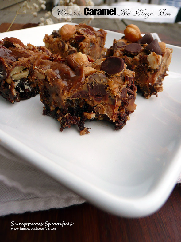 Chocolate Caramel Nut Orgasm Bars