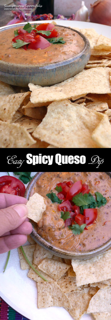 Easy Spicy Queso Dip | Sumptuous Spoonfuls