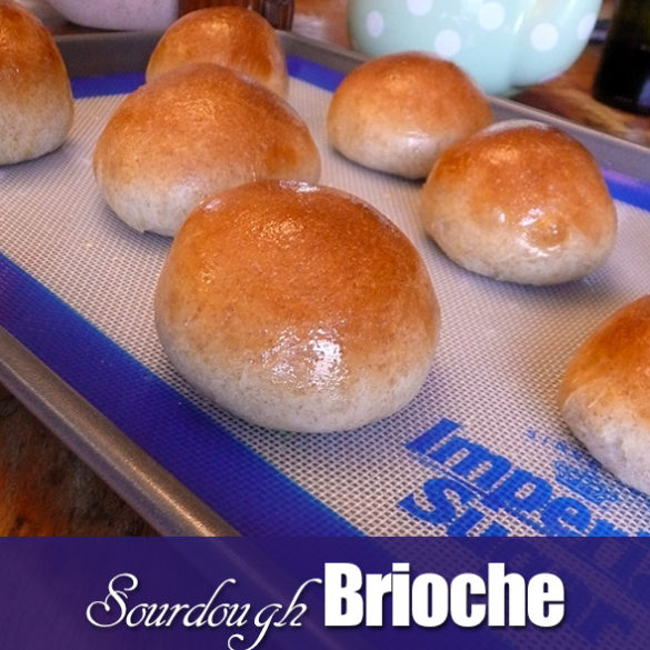 Sourdough Brioche Burger Buns | Sumptuous Spoonfuls