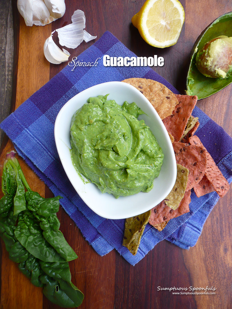 The BEST Guacamole Recipe - House of Nash Eats