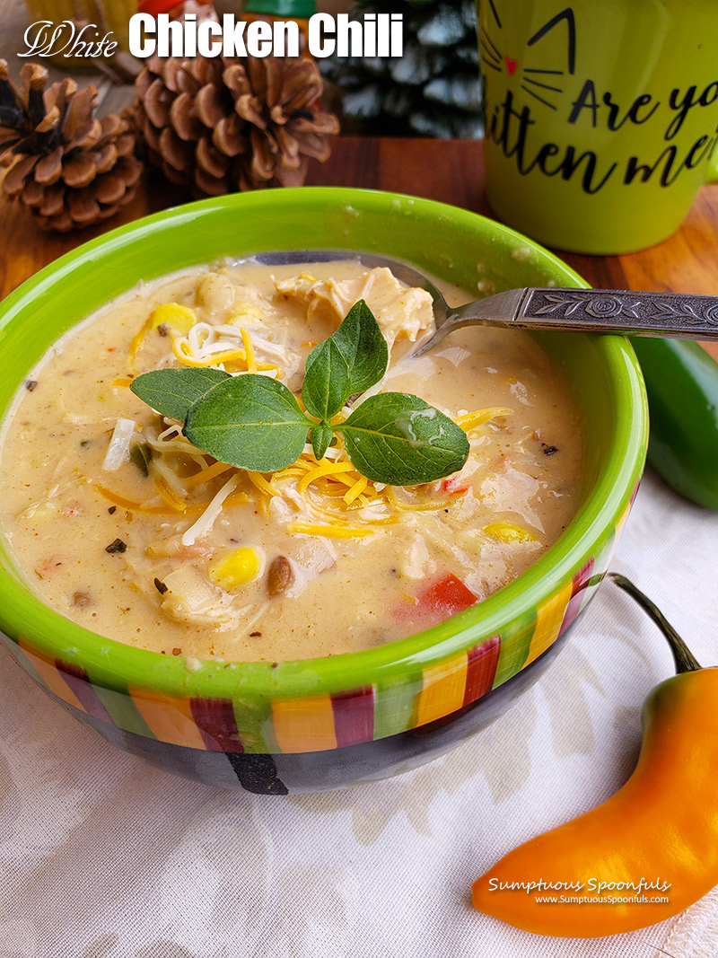 https://www.sumptuousspoonfuls.com/wp-content/uploads/2020/12/White-Chicken-Chili-2.jpg