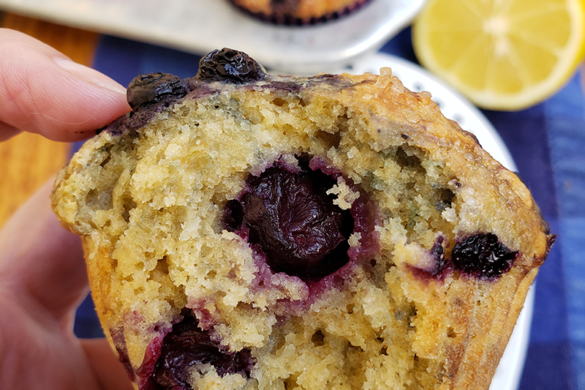 Bread Machine Brioche Buns | Sumptuous Spoonfuls