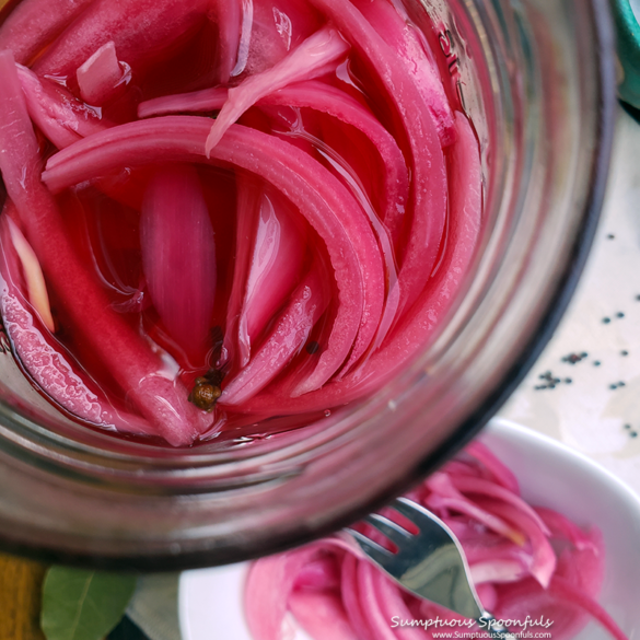 When you have one red onion: make Quick Pickled Red Onions! | Sumptuous ...