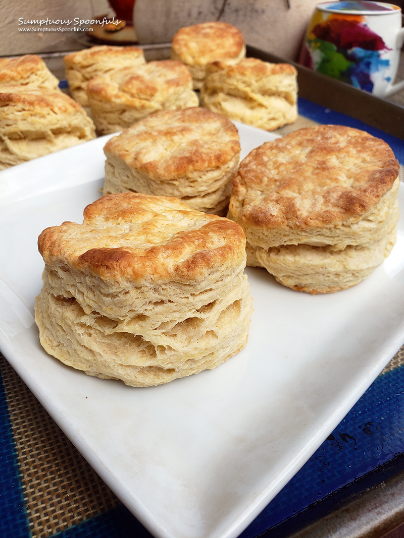 https://www.sumptuousspoonfuls.com/wp-content/uploads/2022/09/The-BEST-Buttery-Soft-Fluffy-Biscuits-2.png
