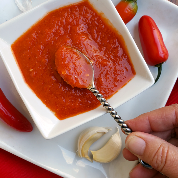 How To Make Homemade Sriracha Sumptuous Spoonfuls   Homemade Sriracha Fermented Probiotics 3 585x585 